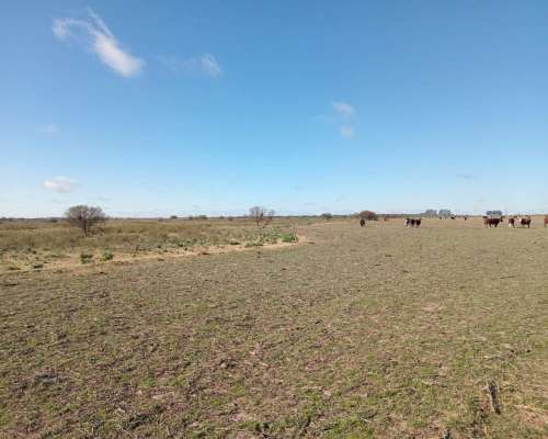 250 Ha Sobre Ruta 12. Buena Aptitud Agrícola