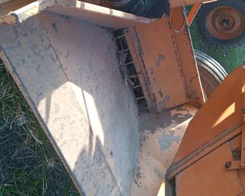 Inoculador Dascanio Grande Noria