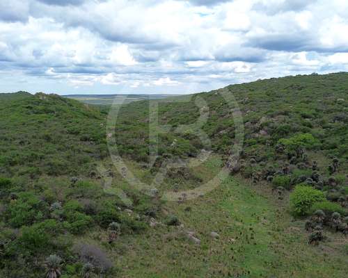 Campo Mixto en Venta- 3.068 Ha en San Pedro Norte, Córdoba