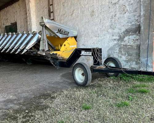 Maizco Premium 15 a 42 cm año 2018