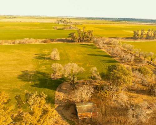 Campo en Venta Rafaela