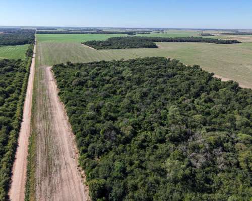 Charata, Chacabuco, Chaco - 100 Ha