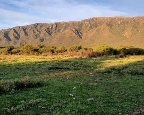 Vendo Campo en San Francisco del Monte de ORO
