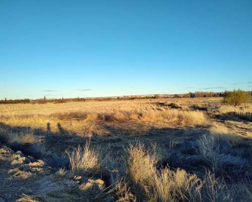 Chacra Zona Gaiman Chubut 36 Ha con Casa
