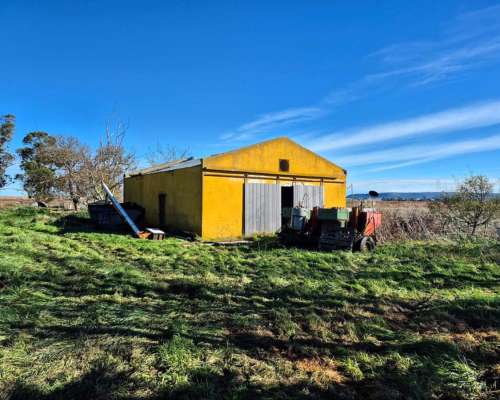 Campo en Balcarce, 30has Papero