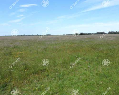 Campo en Venta 57 Has Punta Indio. Ganadero y Disfrute