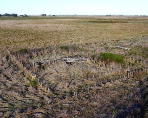 Salvador Maria, Lobos (bs. As.): 130 HA. Contra el Salado