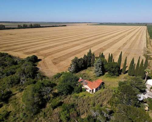 203 Ha Agricolas Suelos Clase 1