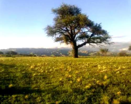 A Grupo Inversor 4 Socios/aventura, Camper Luxury Ecuestre