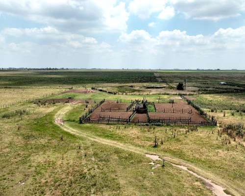 664 Has. Campo Ganadero en Gral. Villegas