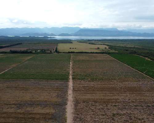 400 Has Agrícolas en Moldes