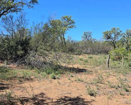 Vendo 15000 Ha en Monte Coman Mendoza