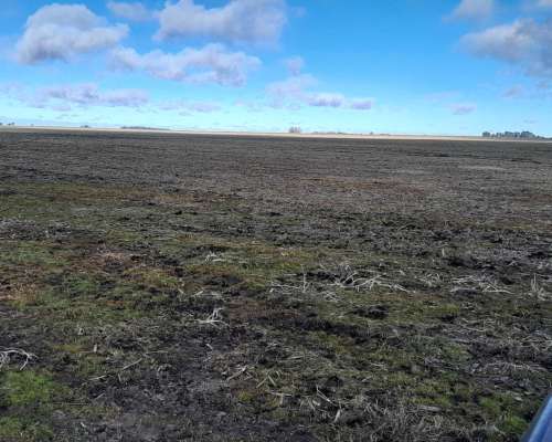 534 Has S/ruta Agríc Mixto Mangrullo, 25 de Mayo 3.700x Ha