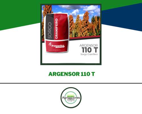 Semilla de Sorgo Argensor 110 T