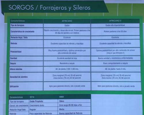 Sorgos Forrajeros y Doble Propósito