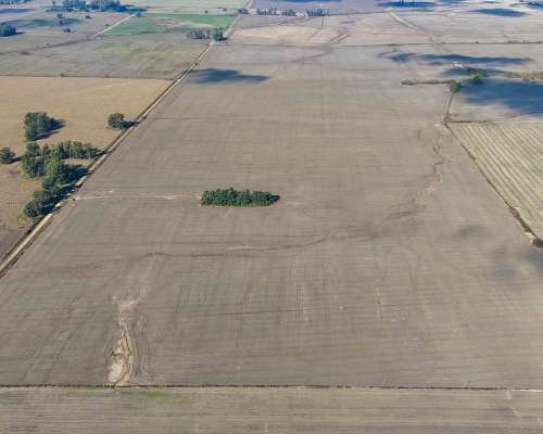 Campo de 120 Hectáreas Agrícola