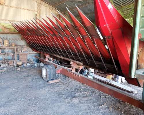 Girasolero Mainero 1035 10 a 70