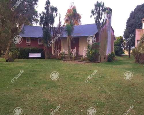 Campo 130 Has en Venta Chascomus.ideal Cria de Caballos