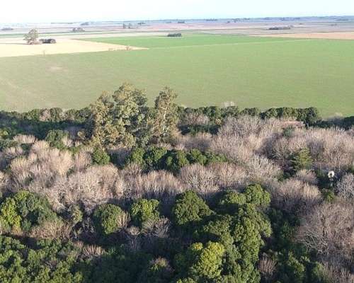 Santa Teresa - 178 Ha - Santa FE