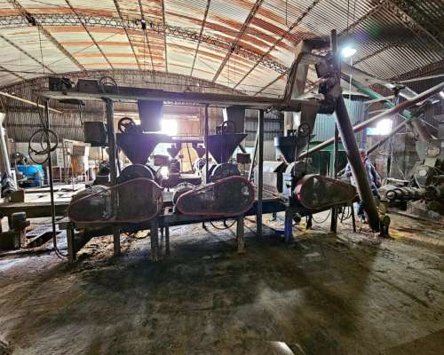 3 Prensas Soja GX 130 y Periféricos