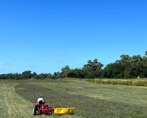 Segadora de Tambor 1.85 Ancho de Corte