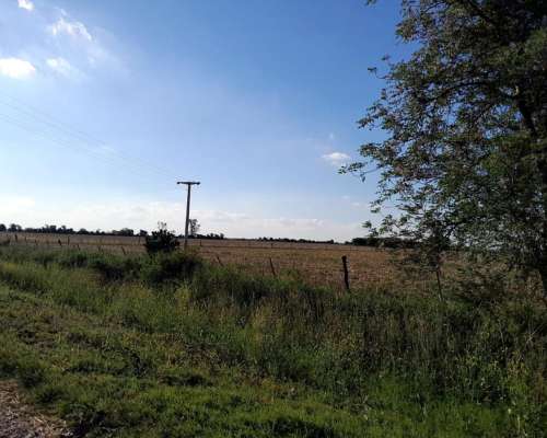 Alquiler / Venta de Campo para Cosecha