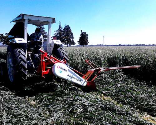 Segadoras Moscato 2000 sin Acondicionador