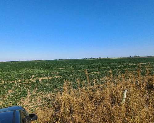 Campo Agricola de 120 Hectáreas