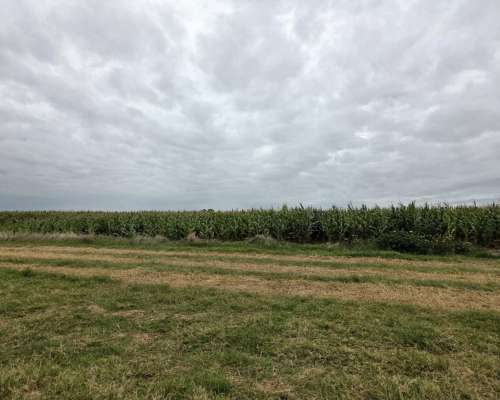 350 Hectareas Bolivar Venta