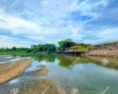 Campo en Venta de 80 Has en Gualeguay, Entre Rios. Agricola.