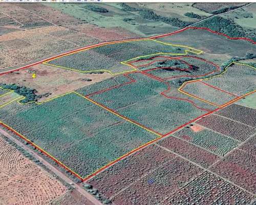Se Vende Chacra de 48 Ha en Apostoles Misiones. 28 Ha con YE