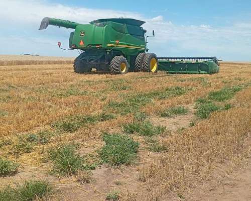 Excelente 9870 con Draper JD 40 año 2014
