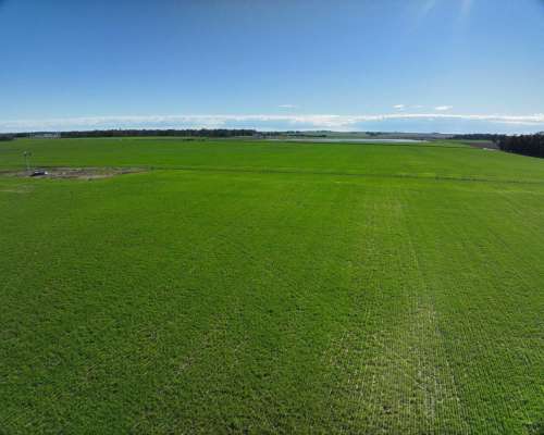 Tres Arroyos, Buenos Aires - 120 Ha