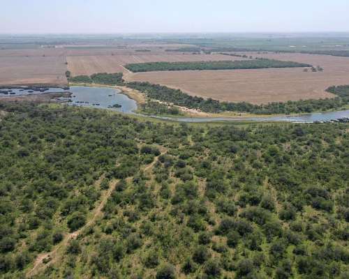 Villa María, Córdoba - 532 Ha