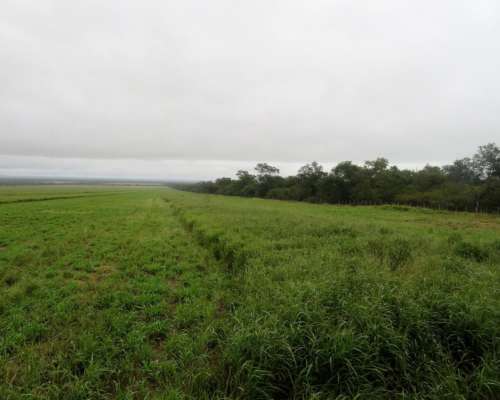 La Estrella - 2755 Ha - Salta