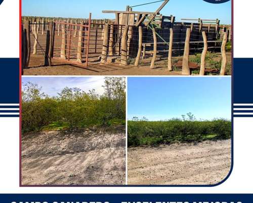En Venta 32.500 HA. Casa de Piedra, la Pampa