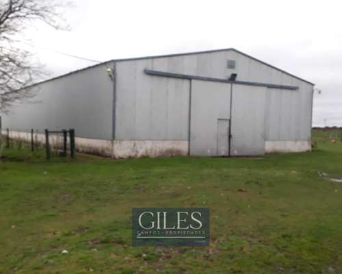 Campo Mixto 720 Hectáreas