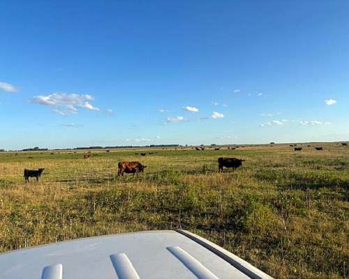 Venta de Campo Mixto con Mejoras de Trabajo.