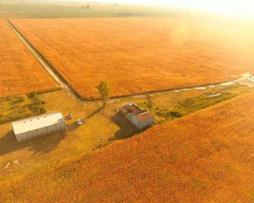 Campo en Venta en Colonia Castelar, Santa FE