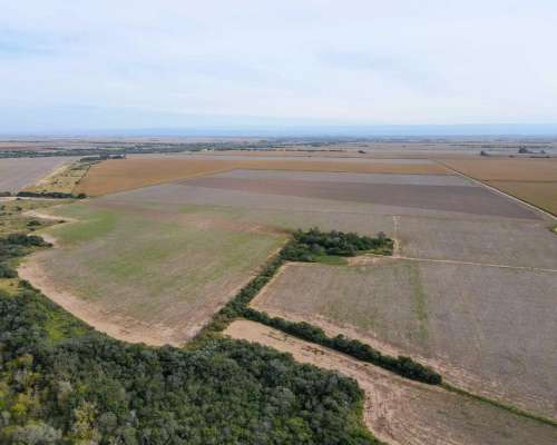 Pcia. de Cordoba - Lozada 72 Ha