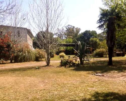Hermoso Campo de 5,6ha en la Violeta (partido de Pergamino)