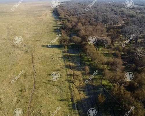 Campo en Venta de 13.747 Has. Ibicuy, Entre Rios