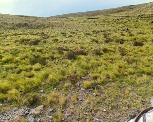 Vendo Campo en la Carolina,san Luis