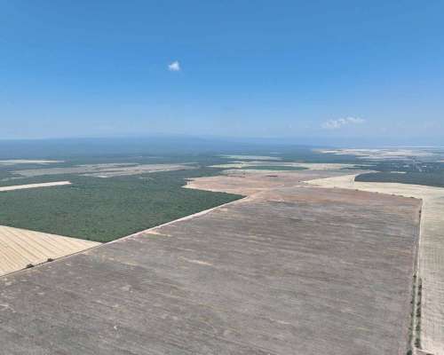 Pcia. de Catamarca - Bañado de Ovanta 437 Has