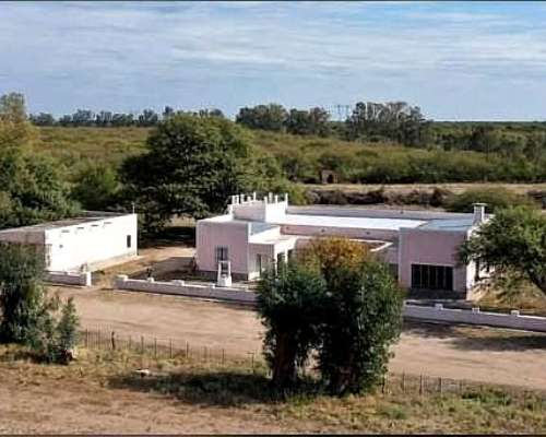 Campo Ganadero en Venta en Lafinur, Provincia de San Luis