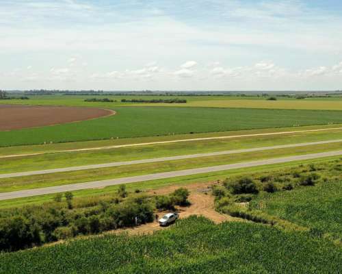 Piquillín, Río Primero, Córdoba - 56 Ha