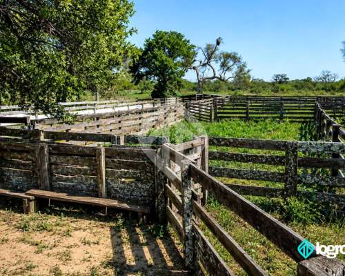 Campo Mixto 2080 Ha los Pirpintos Santiago del Estero