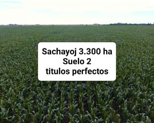 Sachayoj 3.300ha Agrícolas en Venta