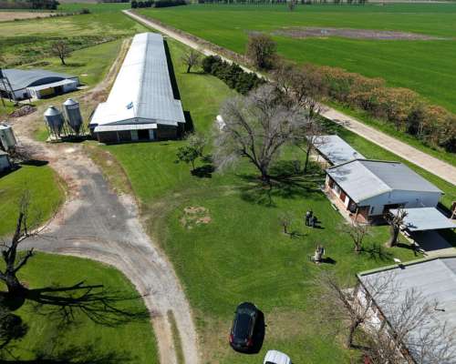Granja Avícola de Engorde / Financiación, Permuta.