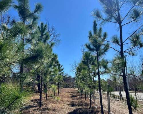 Lote en Country Altos de Carlos PAZ